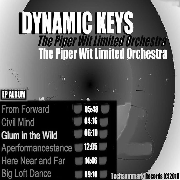 cover art image for dynamic keys album track 03 glum in the wild